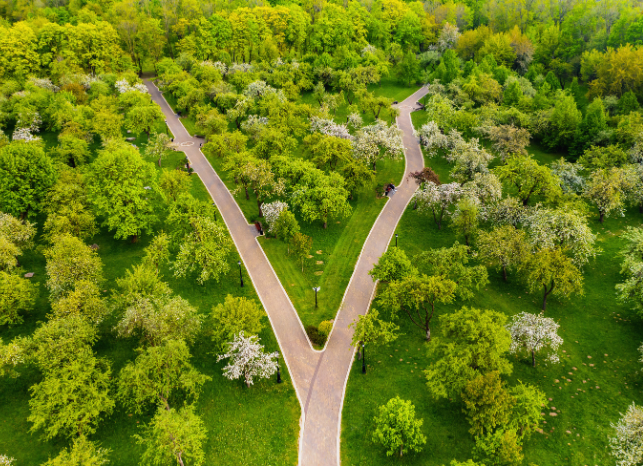 splitting paths pictured from above